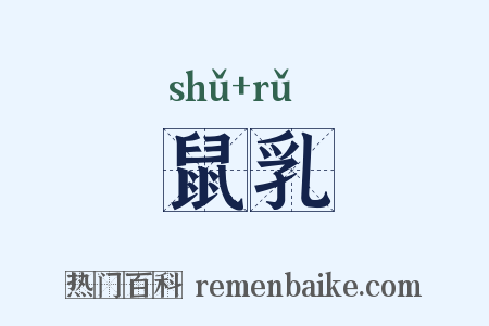 鼠乳是什么意思的图片